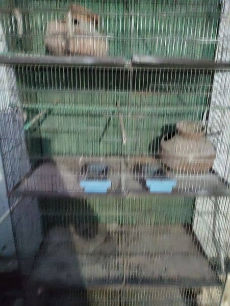 8 partition cage with all item 1