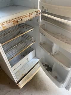 PEL fridge