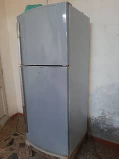 freezer for sale,company dawlance