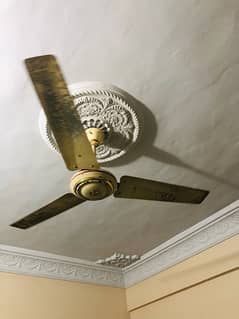 2 ceiling fans with one wall fan