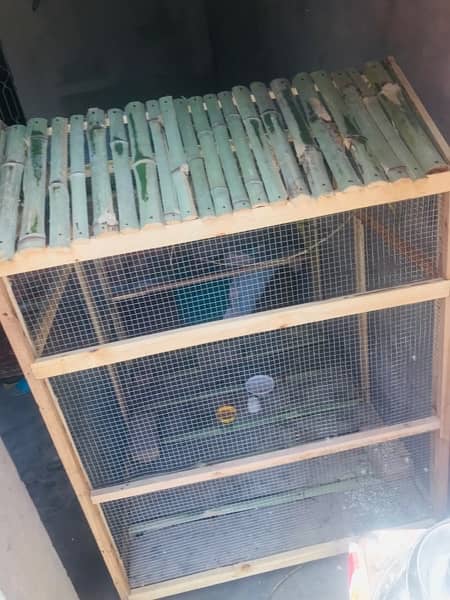 parrot cage 3