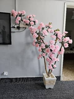 beautiful flower tree