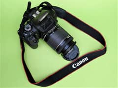 canon d700 with 18 / 55 kit lens