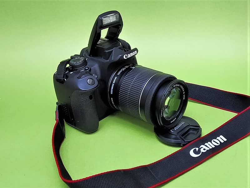 canon d700 with 18 / 55 kit lens 1