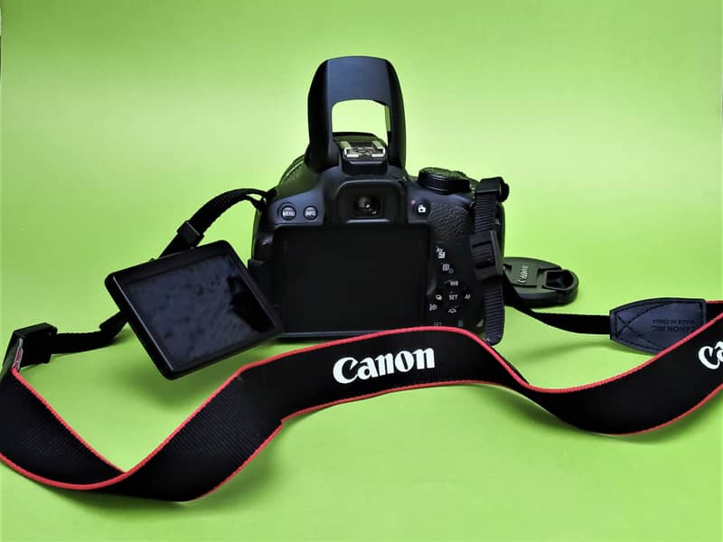 canon d700 with 18 / 55 kit lens 4