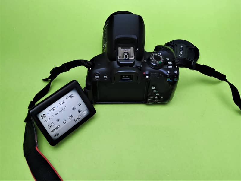 canon d700 with 18 / 55 kit lens 5