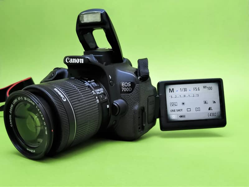 canon d700 with 18 / 55 kit lens 6