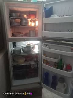 medium size fridge