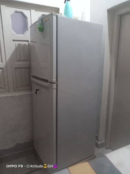medium size fridge 1