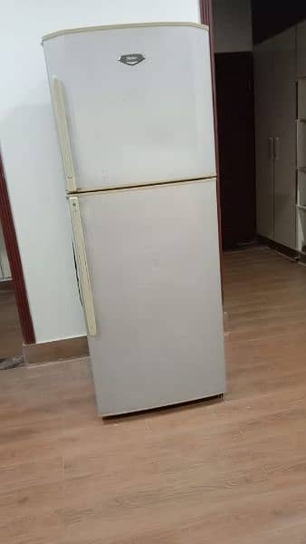 haier full size fridge 2