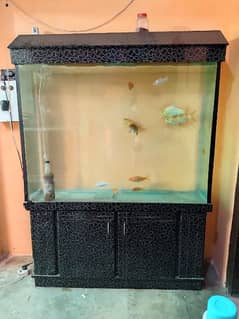 big size aquarium (urgent sell)