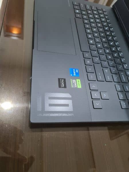HP Omen  Gaming Laptop New 13 Gen RTX 4050 8