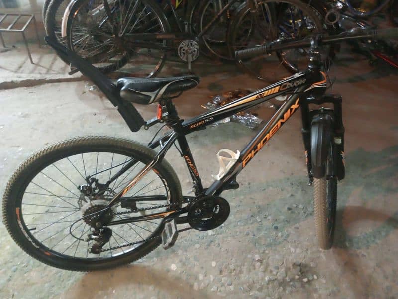 phoenix bicycle 5