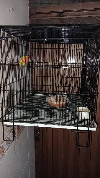 new cage for sale 3