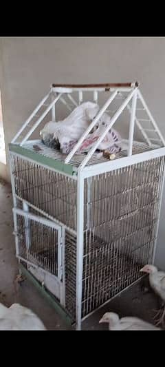 cage for sale size 2×2×4