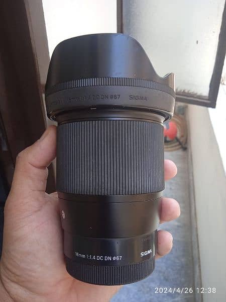 sigma 16mm 1.4 Lens 4