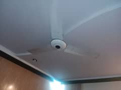 used ceiling fan 56" white colour Royal Fan