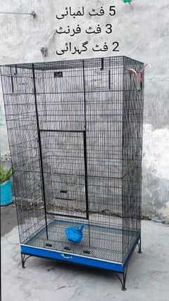 birds cage condition 10 by 10