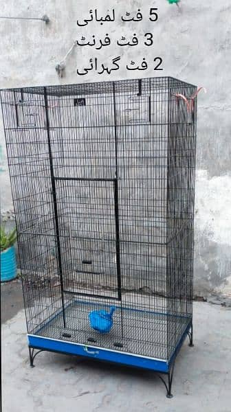birds cage condition 10 by 10 0