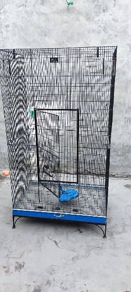 birds cage condition 10 by 10 1