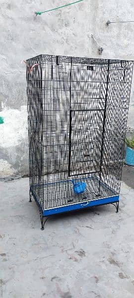 birds cage condition 10 by 10 2