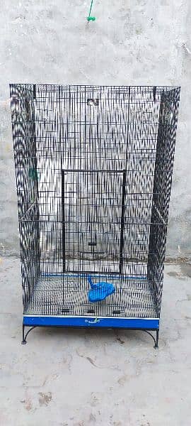 birds cage condition 10 by 10 3