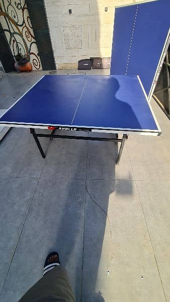 Apollo Imported Table Tenis , Top Foldable, 15mm, Onyx 03, 8