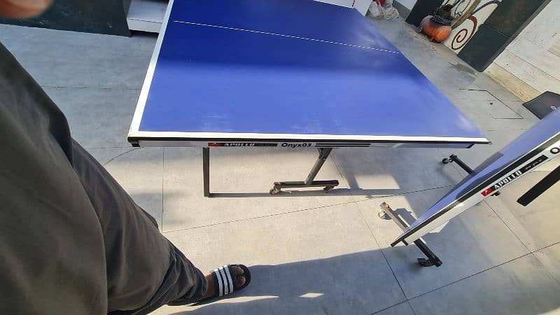 Apollo Imported Table Tenis , Top Foldable, 15mm, Onyx 03, 9