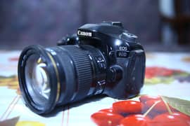 Canon 80D, Sony 6300, Yougnu Flash, Epsont60 Printer