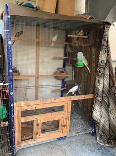 Parrot Cage ( Full Size )