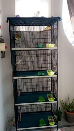 Cages And Birds For Sale