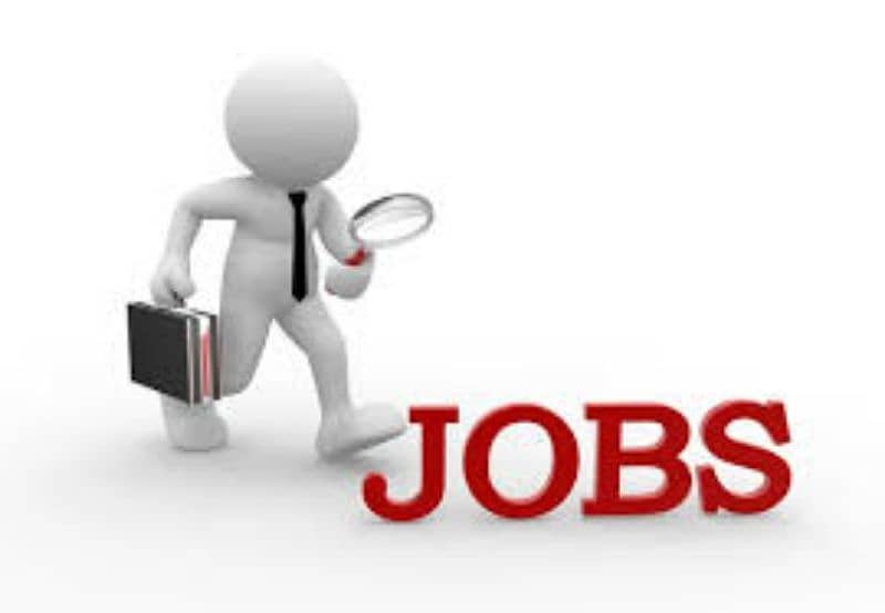 we need lahore males females for online typing homebase job 2