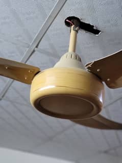 ceiling fans for sale
