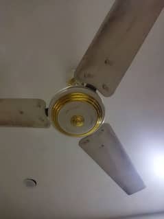 Indus fan for sell
