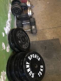 dumbells and plates weights 250 per kg