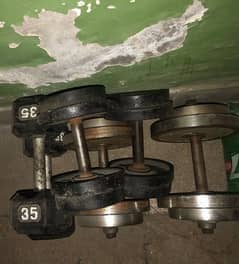 dumbells and plates weights gym equipment 250 per kg