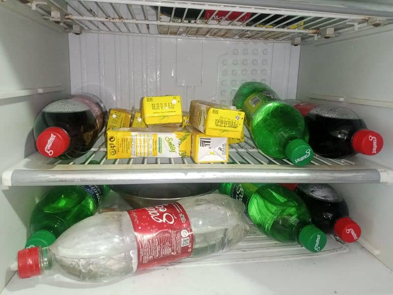 Dawlence Refrigerator 3