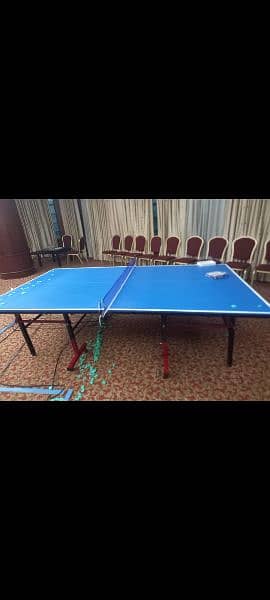 Table tennis at wholesale rates(Manufacturer of indoor games) 6