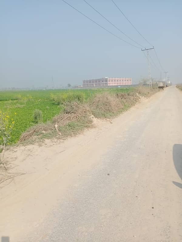 This Is Your Chance To Buy Agricultural Land In Shamkay Bhattian Shamkay Bhattian 0