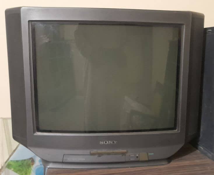 television 1