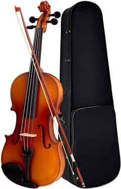 Brand New violin.