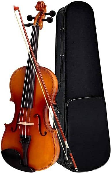 Brand New violin. 0