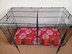 Ali Big size cage(PINJRA) for love bird,cocktail parrots.