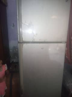 PEL company medium size fridge