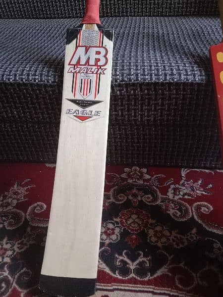 Magnificent cricket tap ball bat with affordable princes 9