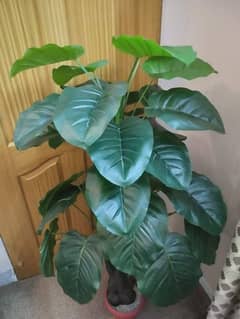 Beautiful 5 ft Artificial Plant