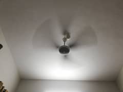 sk ceiling fan