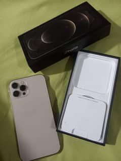 iPhone 12 Pro Max 256 GB Pta Approved
