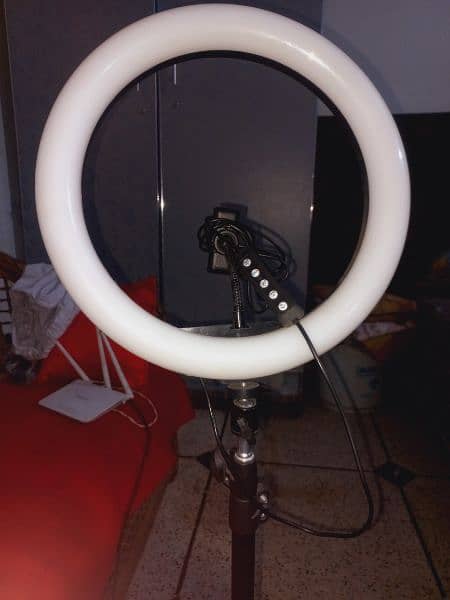 ring light with 7 feet stand for sale 2