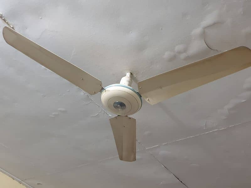 celling fans 1